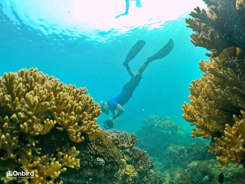 South Phu Quoc: Pro Snorkeling Tour by Speedboat - Why this South Phu Quoc trip feels different