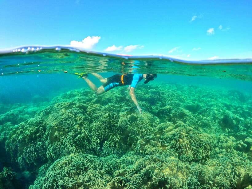 South Phu Quoc: Pro Snorkeling Tour by Speedboat - Two coral sites with time to look properly