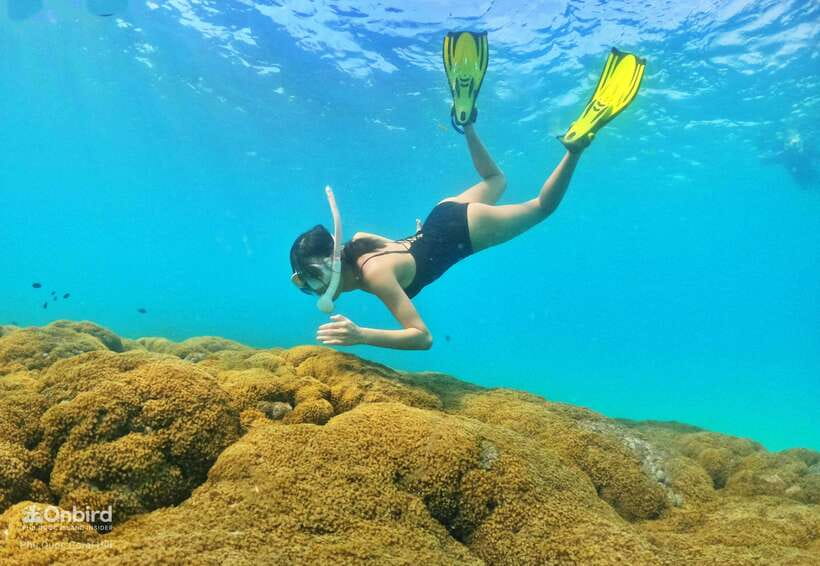 South Phu Quoc: Pro Snorkeling Tour by Speedboat - What the conservation rules mean in practice