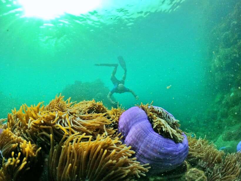 South Phu Quoc: Pro Snorkeling Tour by Speedboat - Equipment, food, and the island break