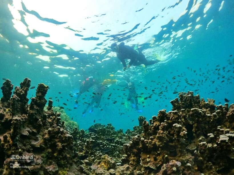 South Phu Quoc: Pro Snorkeling Tour by Speedboat - My booking advice