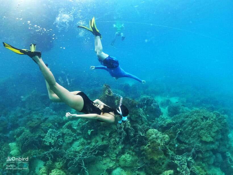 South Phu Quoc: Pro Snorkeling Tour by Speedboat - Pickup from Duong Dong, Bai Truong, and An Thoi
