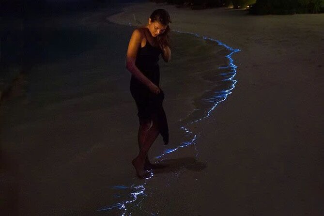 Sunset and Plankton Bioluminescent Night Kayak Lan Ha Bay - Key points at a glance