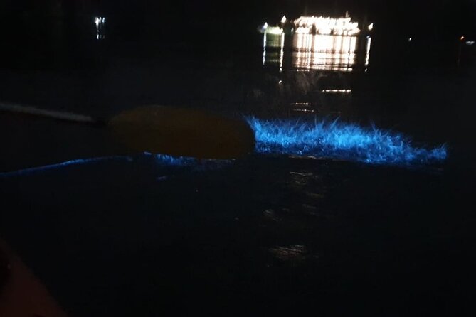 Sunset & Bioluminescent Plankton Kayaking Lan Ha bay - Who will enjoy this Cat Ba evening?