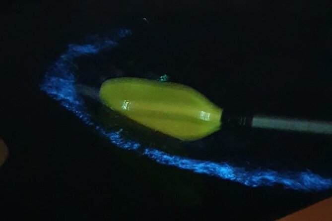 Sunset & Bioluminescent Plankton Kayaking Lan Ha bay - Cai Beo floating village by boat