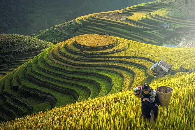 The Best Sapa Tour 2D1N At 3 Star Hotel by sleeping BUS TRANSFER - Why this Sapa trip works for a short visit
