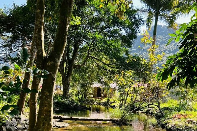 The Hidden Trails of Cat Ba - From Cat Ba Town to the forest trail