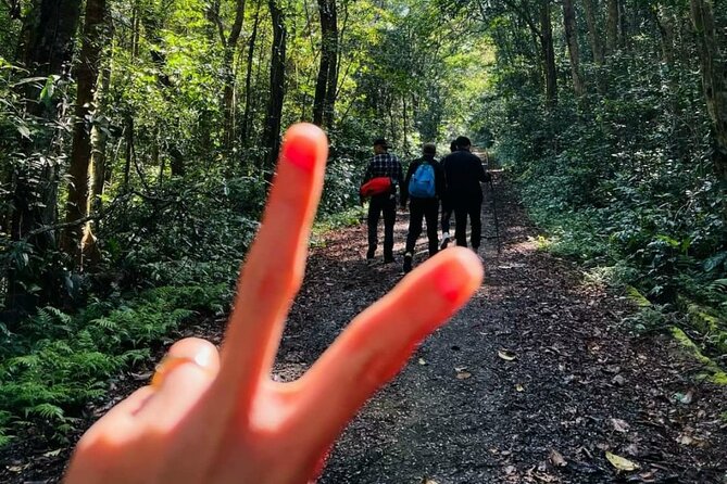The Hidden Trails of Cat Ba - Choosing between Navy Peak and a bike ride