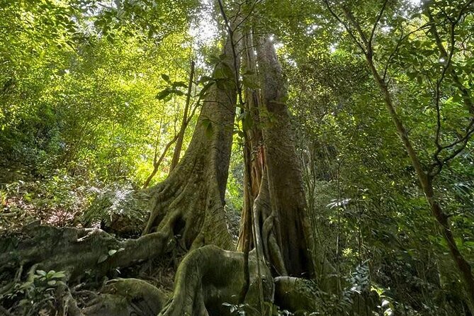 The Hidden Trails of Cat Ba - Kayaking through lagoons and around quiet beaches