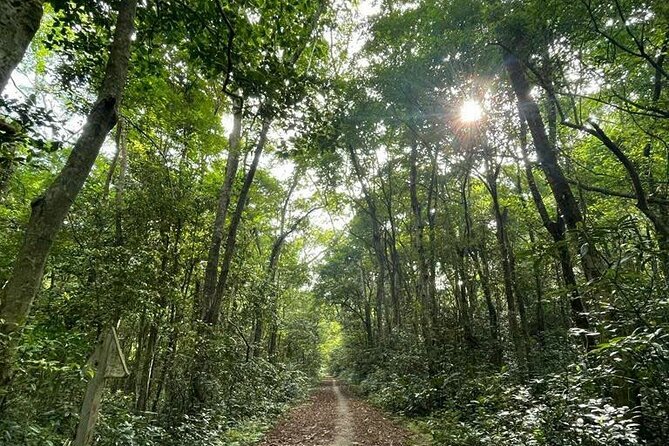 The Hidden Trails of Cat Ba - What the $47 price really covers