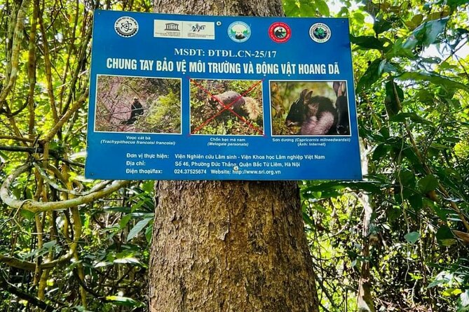 The Hidden Trails of Cat Ba - Viet Hai Village, a quiet break between jungle and sea