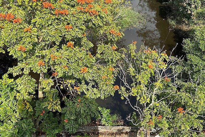 Tour for Nature lover- Lung Ngoc Hoang Nature Reserve in Can Tho - Leaving Can Tho for 2,800 hectares of wetland