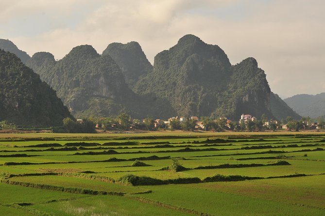 Tour to the caves ONE DAY tour to Phong Nha and Paradise caves - The early pickup from Dong Hoi