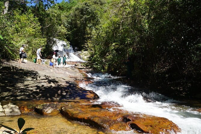 Trekking Tour to Hidden Waterfall & Sturgeon Farm for dog-lovers - Seven dogs and a waterfall only Twin Beans Farm can show you