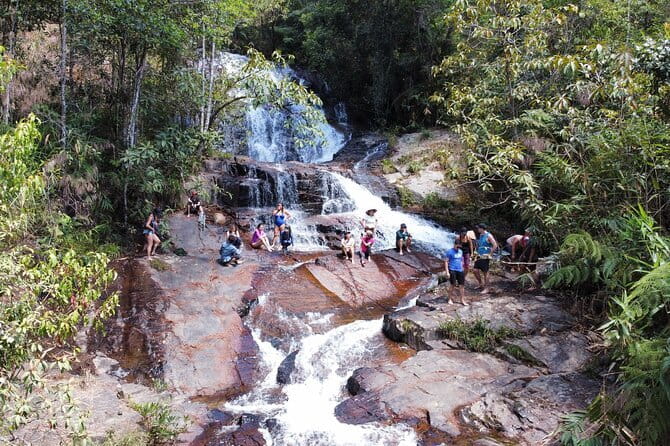 Trekking Tour to Hidden Waterfall & Sturgeon Farm for dog-lovers - Starting at Twin Beans Farm in Da Lat