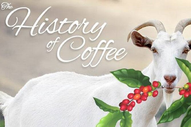 Vietnamese Culture and Coffee Making Class - What the $15.39 price really includes