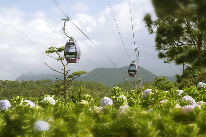 VIP Private Tour in Dalat City and Waterfall - A fast way to see Da Lat’s many sides