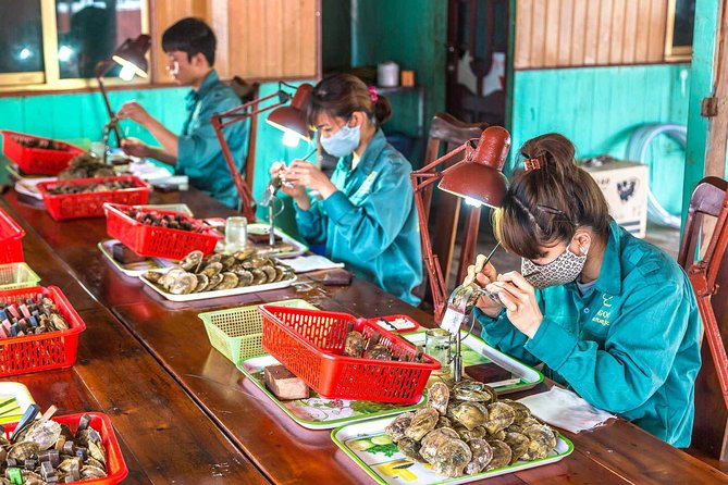 Wellness Detox Journey In Vietnam - What the $589 price really buys you